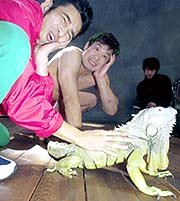 Kazushi Sakuraba & choreographer Rakki Ikeda posing with an iguana